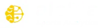Alebia Sports Analytics